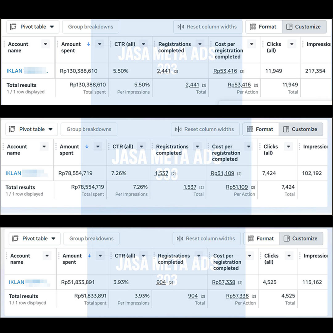 Meta Ads campaign performance portfolio